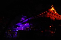 DSCF0101.JPG